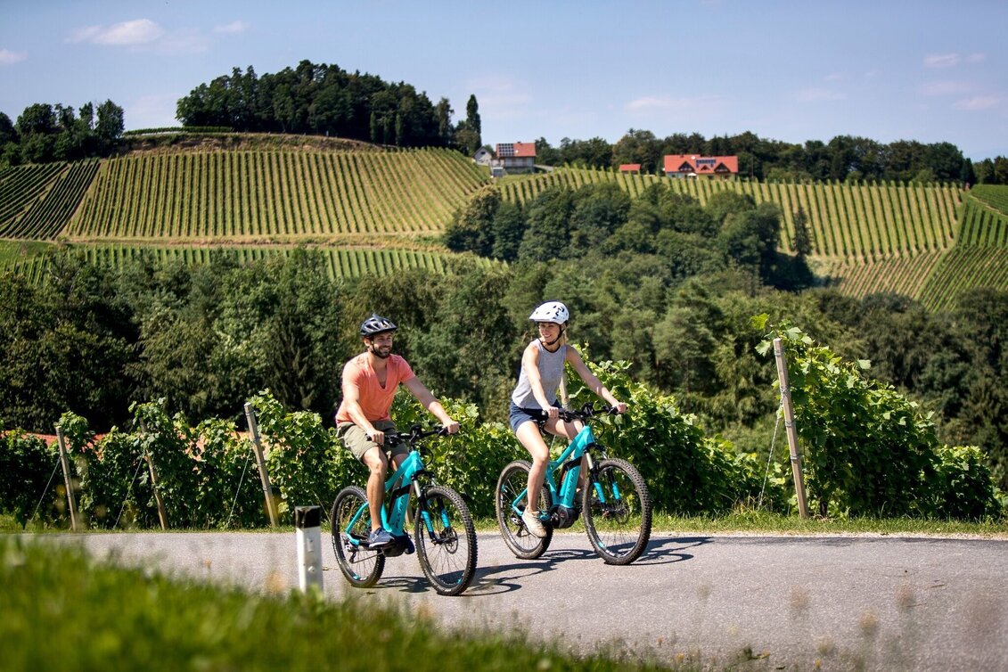 Cycling Weinstraßenausfahrt - Panoramaradweg-Südsteirische Weinstraße - Touren-Impression #1 | © Südsteiermark