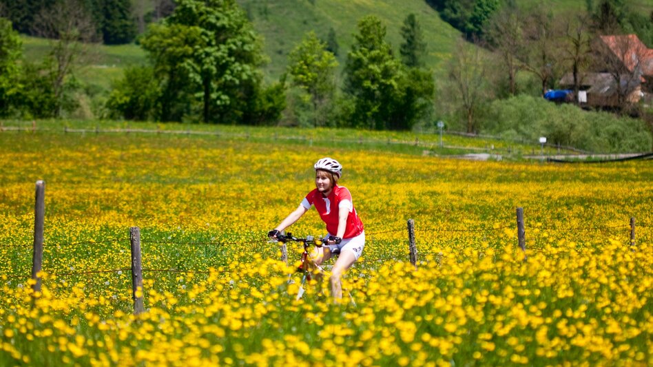 Radfahren Murradweg R2 - Vom Steirerkas zu Wein und Kernöl  - Touren-Impression #2.5 | © Steiermark Tourismus