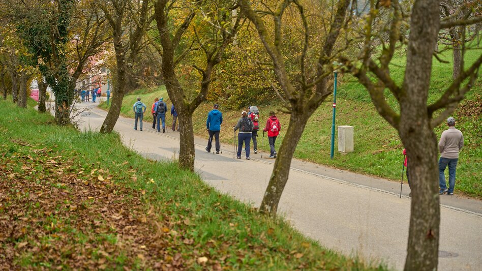 Wanderung Hirschbirnwandertag 2026, kurze Strecke - Touren-Impression #2.1 | © Markus Lang-Fotografie