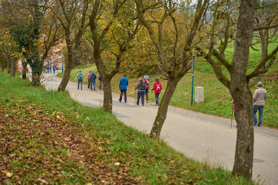 Wanderung Hirschbirnwandertag 2026, kurze Strecke - Touren-Impression #1 | © Markus Lang-Fotografie