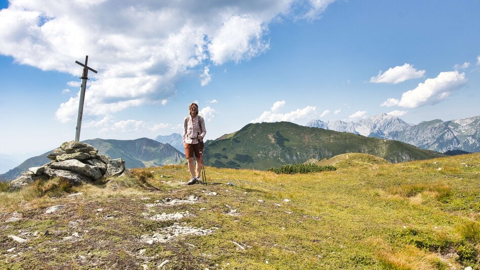 Mountain Hike Lahnerleitenspitze from  Wald am Schoberpaß - Touren-Impression #2.9 | © Weges OG