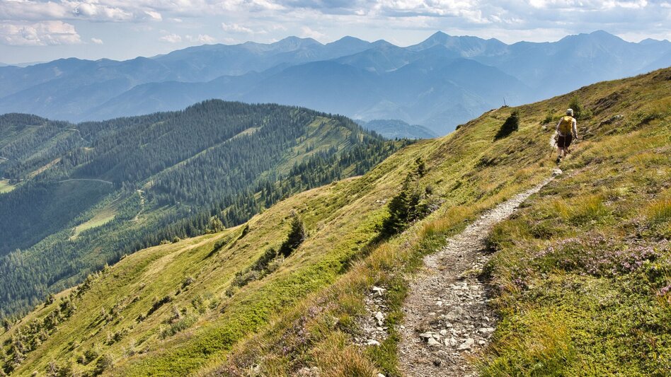 Mountain Hike Lahnerleitenspitze from  Wald am Schoberpaß - Touren-Impression #2.12 | © Weges OG