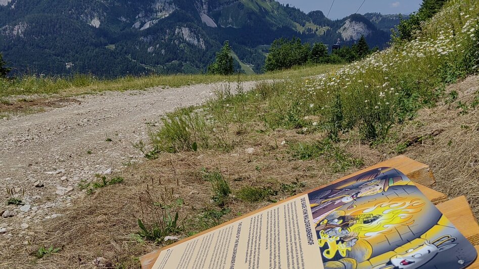 Hiking Route Loser theme trail: Augsti legend trail - Touren-Impression #2.5 | © Kulturfux