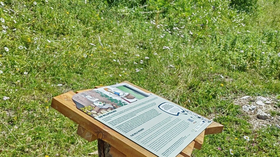 Hiking Route Loser theme trail: Augsti legend trail - Touren-Impression #2.8 | © Kulturfux