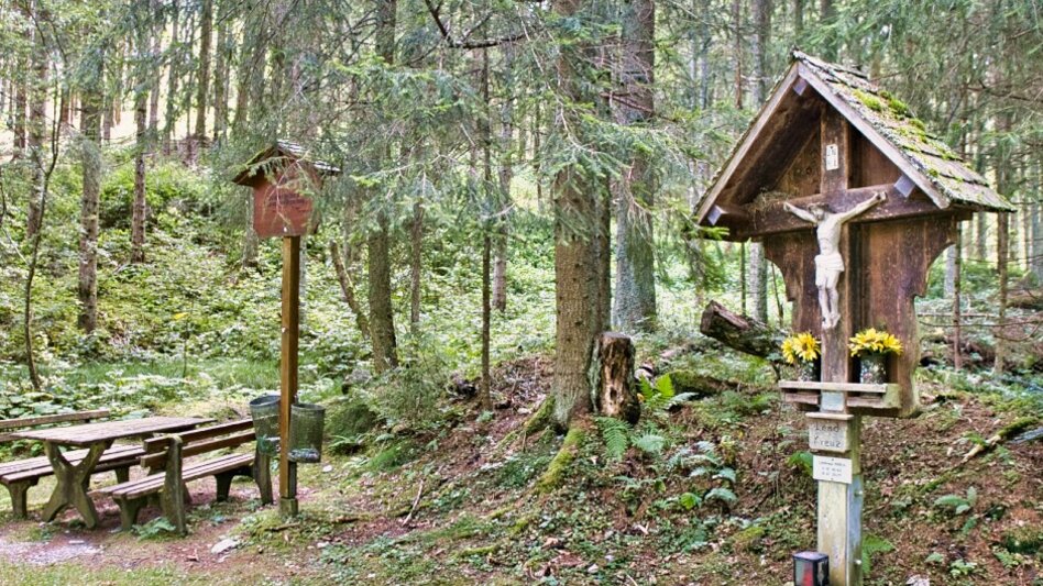 Wanderung BergZeitReise mit Abstieg 06 nach Mitterdorf - Touren-Impression #2.1 | © Tourismusverband Hochsteiermark