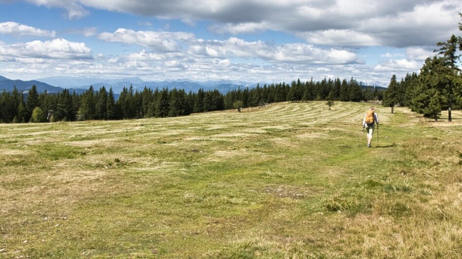 Wanderung BergZeitReise mit Abstieg 06 nach Mitterdorf - Touren-Impression #2.4 | © Tourismusverband Hochsteiermark