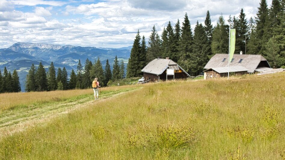 Wanderung BergZeitReise mit Abstieg 06 nach Mitterdorf - Touren-Impression #2.7 | © Tourismusverband Hochsteiermark