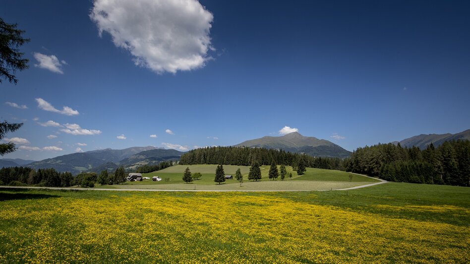 Gravelbike Greimhütte - Touren-Impression #2.6 | © TVB Murau