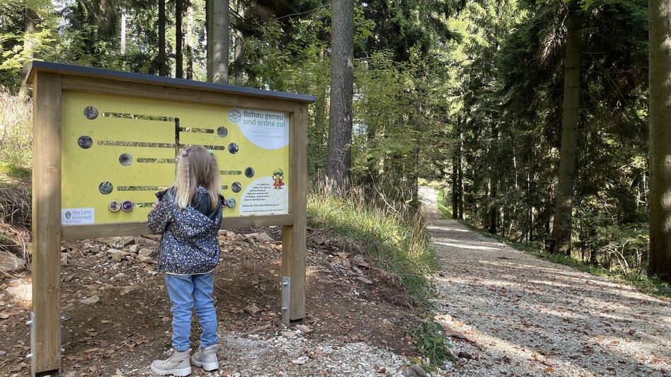 Themen- und Lehrpfad Erlebnisweg Masen.Berg., Pöllauberg - Touren-Impression #2.1