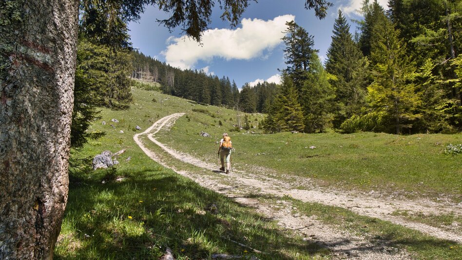 Wasserweg Etappe 07 - Wasser: SIEBEN ELEMENTE - der Weg  - Touren-Impression #2.5