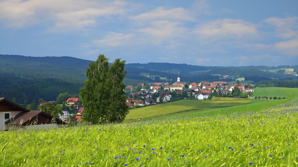 Rennrad Rennradrunde, Rohrbach an der Lafnitz  - Touren-Impression #2.5 | © Oststeiermark Tourismus