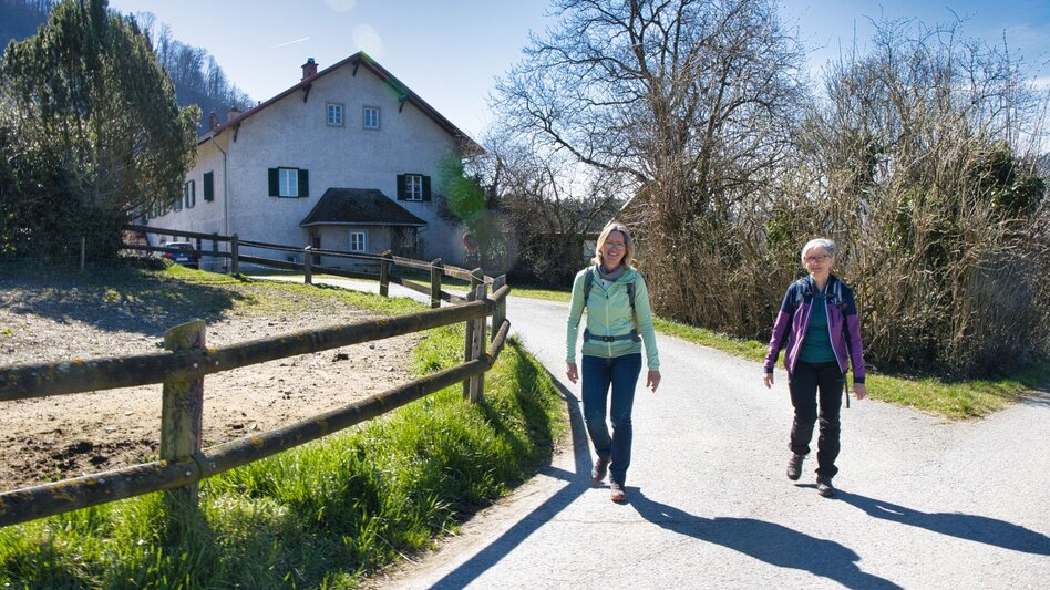 Hiking Route 4_Laasrunde - Touren-Impression #2.7 | © Weges OG