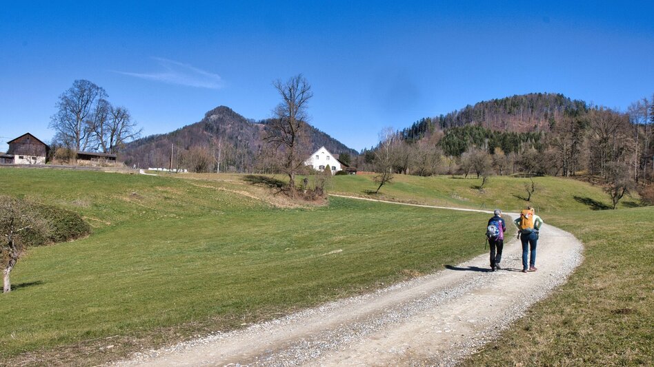 Hiking Route 4_Laasrunde - Touren-Impression #2.8 | © Weges OG
