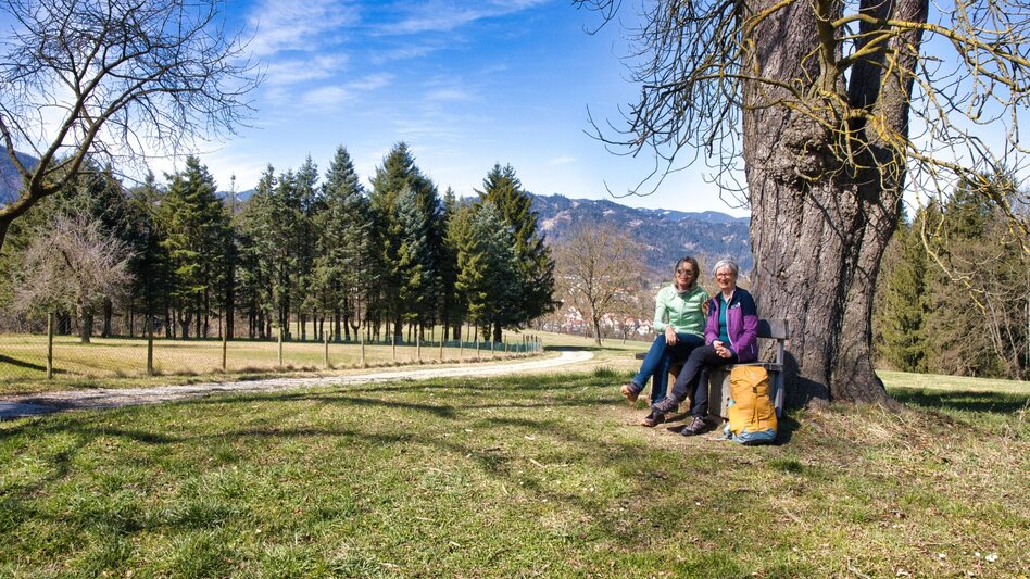 Hiking Route 4_Laasrunde - Touren-Impression #2.9 | © Weges OG