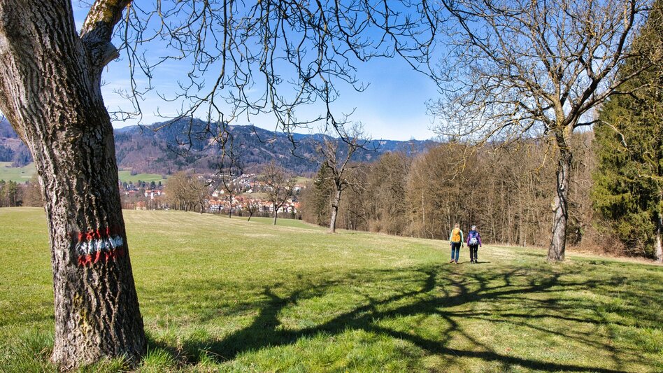 Hiking Route 4_Laasrunde - Touren-Impression #2.10 | © Weges OG