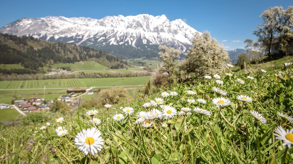 Wanderung Große Niederöblarner Runde - Touren-Impression #2.1 | © Erlebnisregion Schladming-Dachstein
