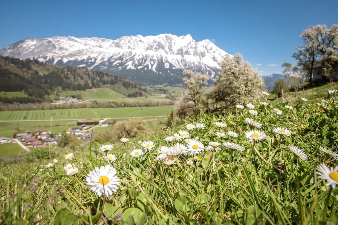 Wanderung Große Niederöblarner Runde - Touren-Impression #1 | © Erlebnisregion Schladming-Dachstein