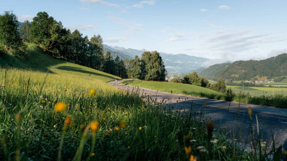 Wanderung Große Niederöblarner Runde - Touren-Impression #2.10 | © Tourismusverband Schladming-Dachstein