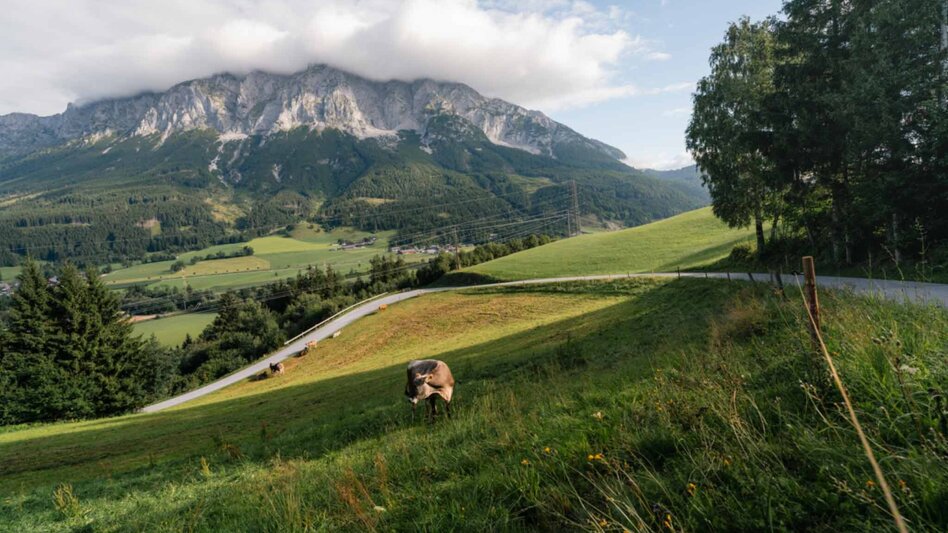 Wanderung Große Niederöblarner Runde - Touren-Impression #2.24 | © Tourismusverband Schladming-Dachstein