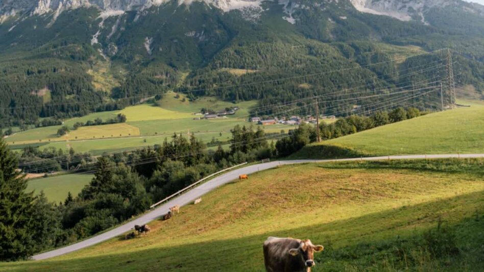 Wanderung Große Niederöblarner Runde - Touren-Impression #2.25 | © Tourismusverband Schladming-Dachstein