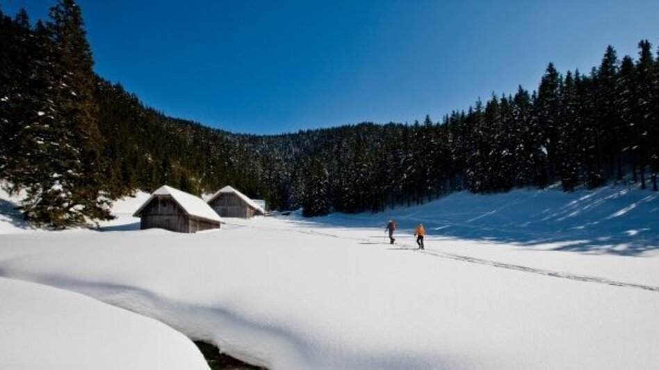 Ski Touring Pfaffensattel – Alois-Günther-Haus - Touren-Impression #2.1 | © TV Hochsteiermark