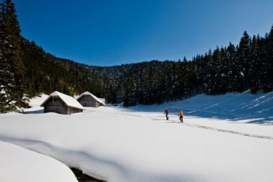 Ski Touring Pfaffensattel – Alois-Günther-Haus - Touren-Impression #1 | © TV Hochsteiermark