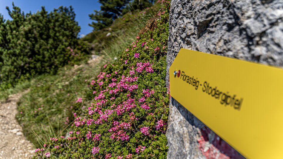 Klettersteig Klettersteiggarten Stoderzinken - Touren-Impression #2.3 | © Gerhard Pilz
