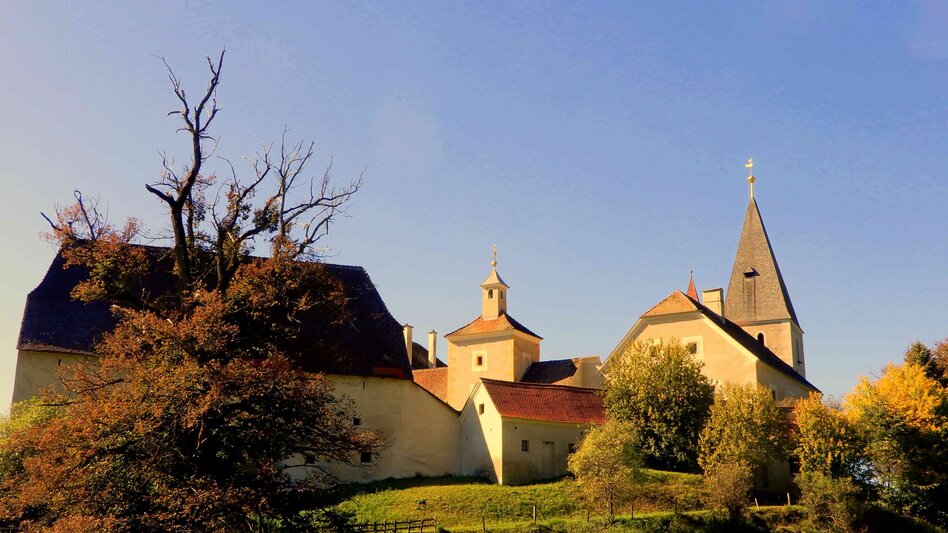 Themed Nature Trail Legendary Landscapes | Nature, History and Myth - Touren-Impression #2.4 | © TVB Murau