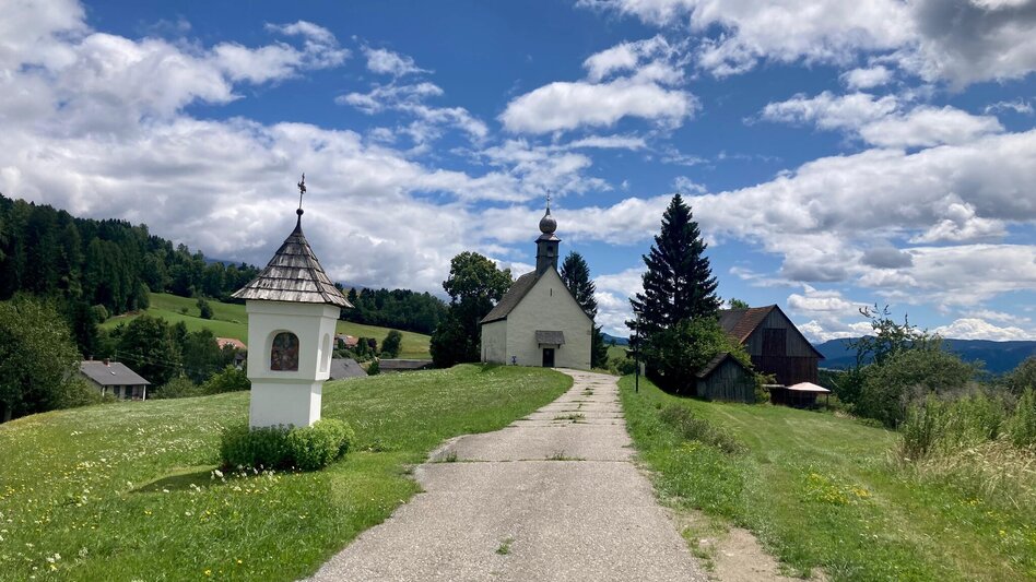 Themed Nature Trail Legendary Landscapes | Nature, History and Myth - Touren-Impression #2.5 | © TVB Murau