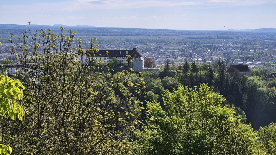 Cycling Blickwechsel Tour  - Touren-Impression #2.11