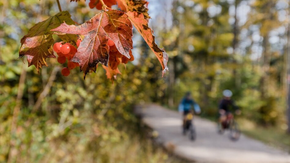 Gravelbike Gravelbike Rundtour ums Tote Gebirge - Touren-Impression #2.3 | © TVB Ausseerland Salzkammergut