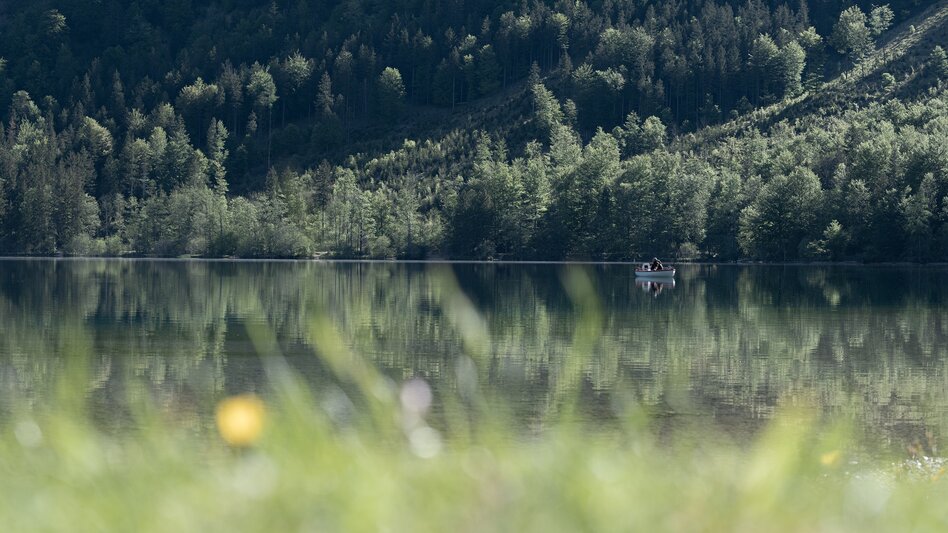 Gravelbike Gravelbike Rundtour ums Tote Gebirge - Touren-Impression #2.8 | © Oberösterreich Tourismus GmbH