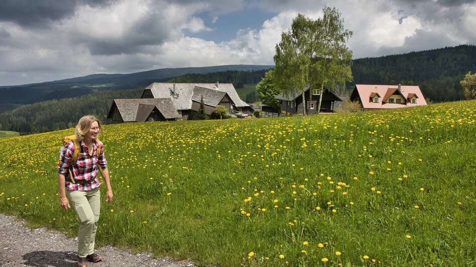 Bike & Hike By bike to the lake and on foot to the “Ofen” – discovering Western Styria - Touren-Impression #2.6 | © Weges OG
