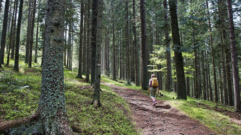 Bike & Hike By bike to the lake and on foot to the “Ofen” – discovering Western Styria - Touren-Impression #2.7 | © Weges OG