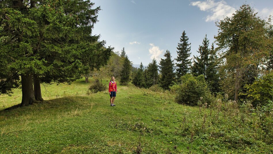 Bike & Hike Panoramafahrt und Schöcklblick: von Peggau über Semriach hinauf zum Hochtrötsch - Touren-Impression #2.7 | © Weges OG