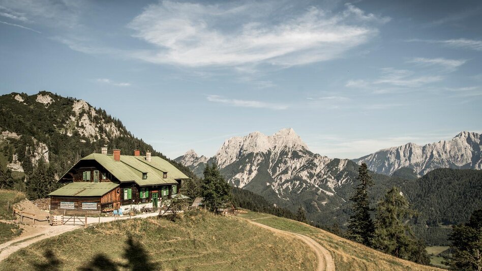 Wanderung Vom Buchauer Sattel auf die Grabneralm - Touren-Impression #2.5 | © Stefan Leitner