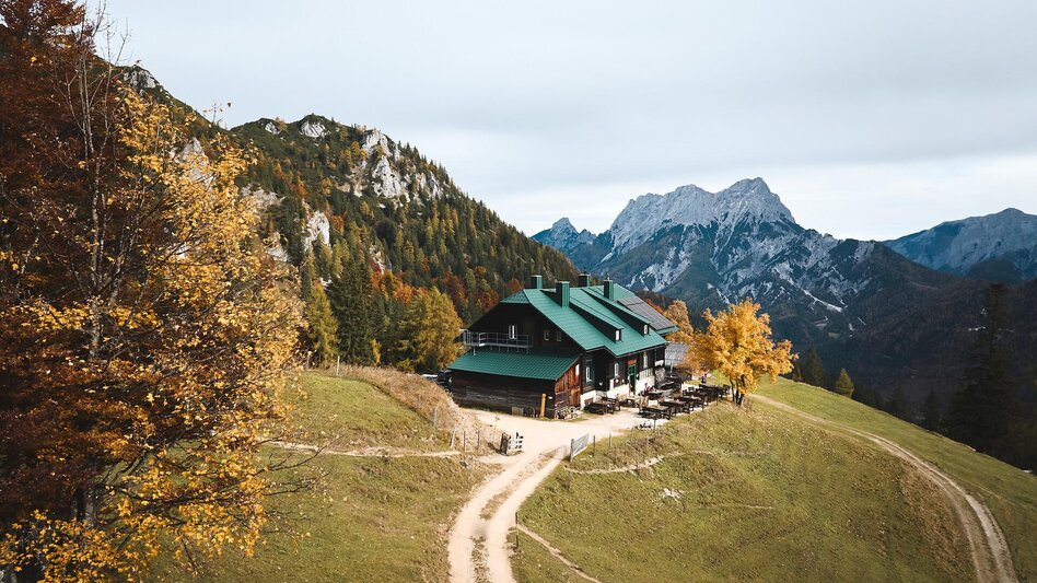 Wanderung Vom Buchauer Sattel auf die Grabneralm - Touren-Impression #2.8