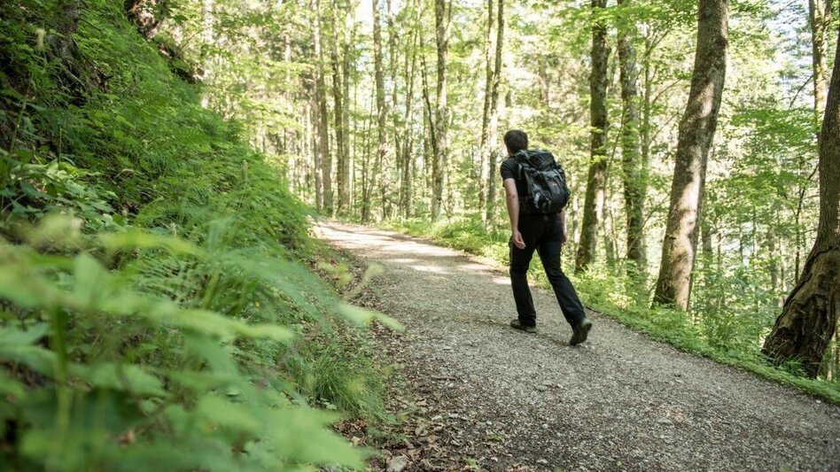 Wanderung Vom Buchauer Sattel auf die Grabneralm - Touren-Impression #2.2 | © TV Gesäuse
