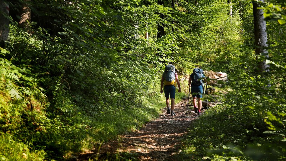Fernwanderweg Etappe 12 Luchs Trail: Lunz am See - Lackenhof - Touren-Impression #2.1 | © www.weinfranz.com
