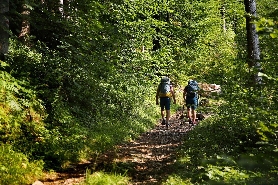 Fernwanderweg Etappe 12 Luchs Trail: Lunz am See - Lackenhof - Touren-Impression #1 | © www.weinfranz.com