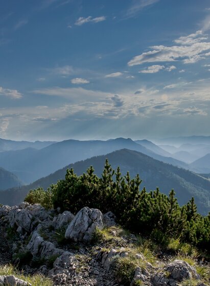 Wandern im Ötschergebiet I Luchs Trail | © Ludwig Fahrnberger | Ludwig Fahrnberger | © Ludwig Fahrnberger