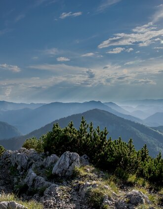 Wandern im Ötschergebiet I Luchs Trail | Ludwig Fahrnberger | © Ludwig Fahrnberger