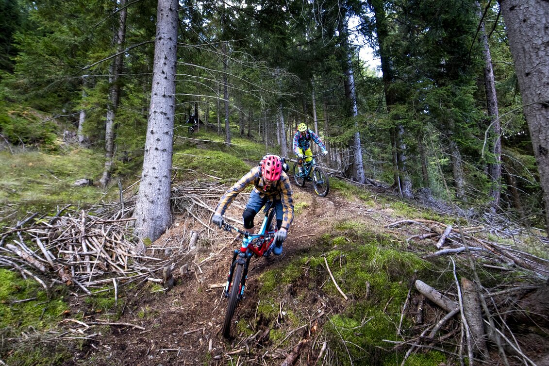 Singletrail Singletrail Mühlsteinboden - Touren-Impression #1 | © Tom Lamm