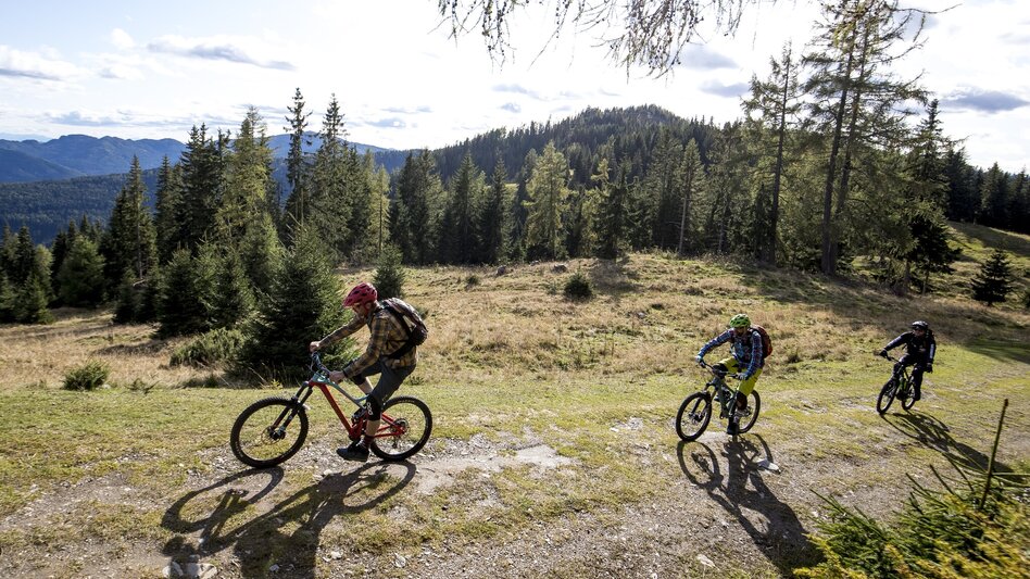 Singletrail Singletrail Mühlsteinboden - Touren-Impression #2.6 | © Tom Lamm