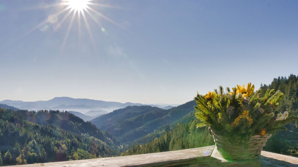 Wanderung Fensteralm, 1642 m - Touren-Impression #2.4