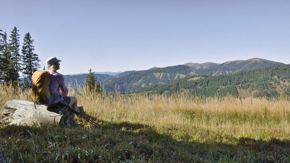 Wanderung Fensteralm, 1642 m - Touren-Impression #2.5