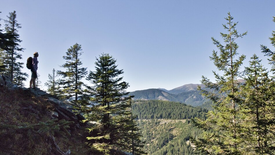 Wanderung Fensteralm, 1642 m - Touren-Impression #2.7