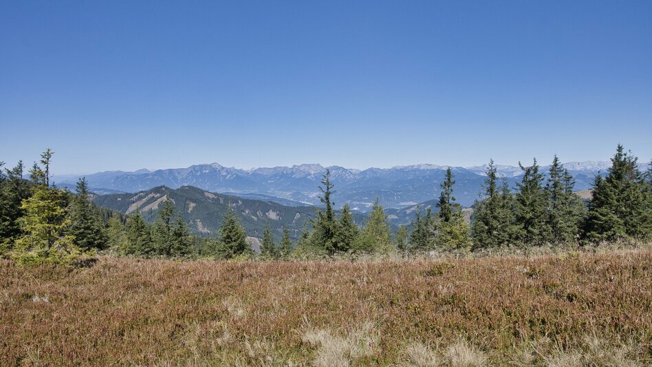 Wanderung Fensteralm, 1642 m - Touren-Impression #2.10