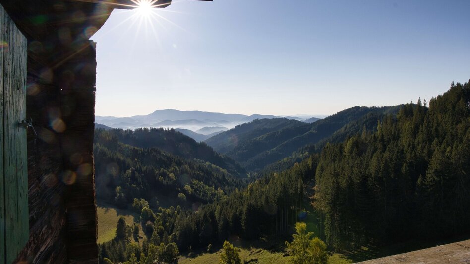 Wanderung Fensteralm, 1642 m - Touren-Impression #2.2