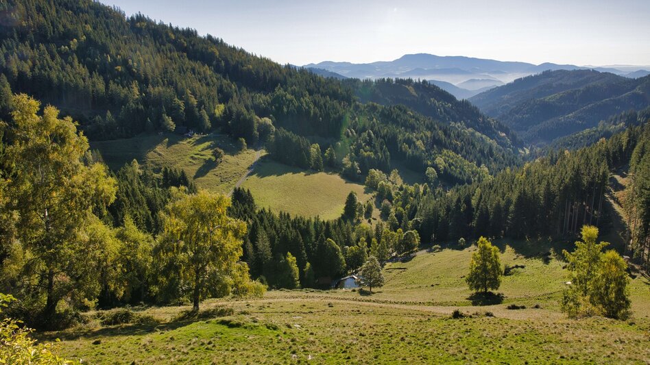 Wanderung Fensteralm, 1642 m - Touren-Impression #2.8